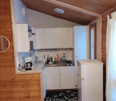 Muurame Apartment | Riihitupa 10