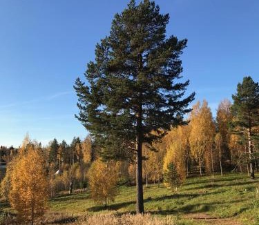 Strombacka Other | Romantic night in a dome tent lake view