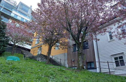 Sentrum Apartment | Romslig Leilighet i Bergen Sentrum