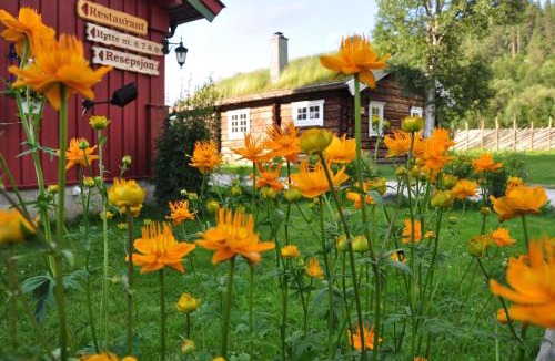 Hundorp Resort | Rondane River Lodge