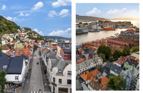 Bergen City Centre Apartment | Roof Terrace 3BR - Unesco Bryggen and Floien