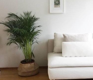 Punavuori Apartment | Roost Pursimiehenkatu