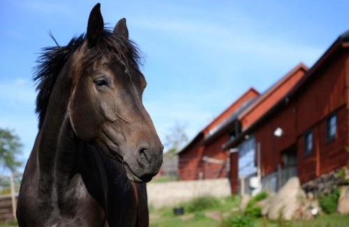 Hultsfred House | Rural House Near Astrid Lindgres World SE05100