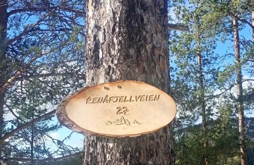 Akrestrømmen Ski Chalet | Rust, ruimte en frisse berglucht