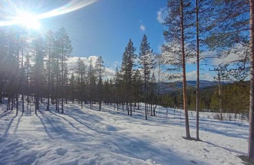 Akrestrømmen Ski Chalet | Rust, ruimte en frisse berglucht