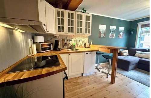Trondheim City Centre Apartment | Rustic charm in the heart of Trondheim – comfortable apartment with free parking