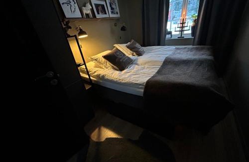 Salen House | Sälen Osanden