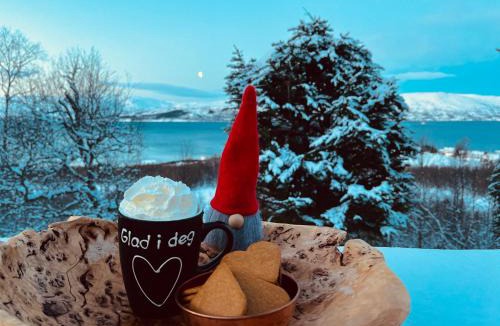 Tromso Ski Chalet | Santa's Aurora Observatory