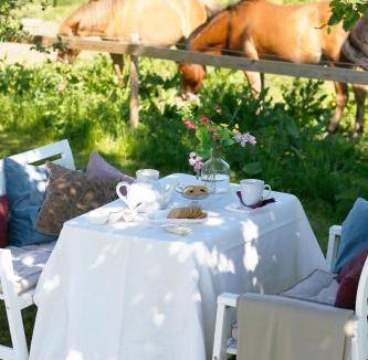 Tollarp Bed & Breakfast | 19 m² Bed and breakfast ∙ 2 guests