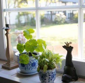 Tollarp Bed & Breakfast | 19 m² Bed and breakfast ∙ 2 guests