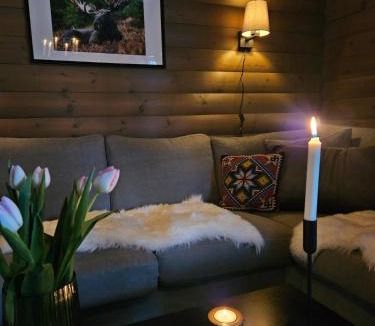 Dølemo House | Secluded Cabin - Stunning Views - Hiking & Nature