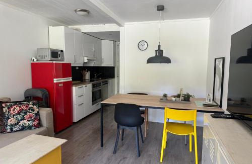 Gol Apartment | Sentrumsvegen Studio Apartment with Electric Car Facility in Gol