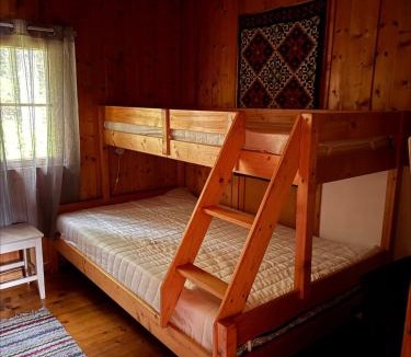 Nore og Uvdal Apartment | Simple and cozy forest cabin