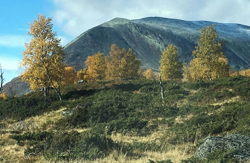Nord-Fron House | Simple mountain cabin near Vinstra