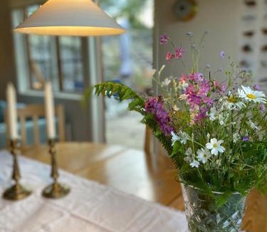 Langvik Villa | Sjövillan på Karlbergs Pensionat
