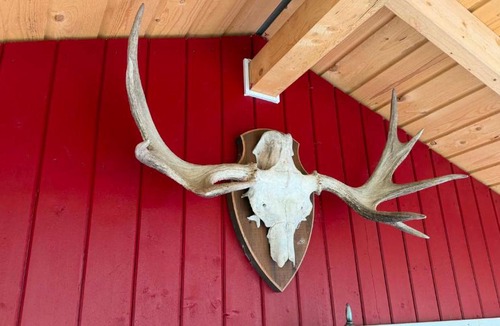 Rakkestad Other | Sjarmerende campinghytte i skogen