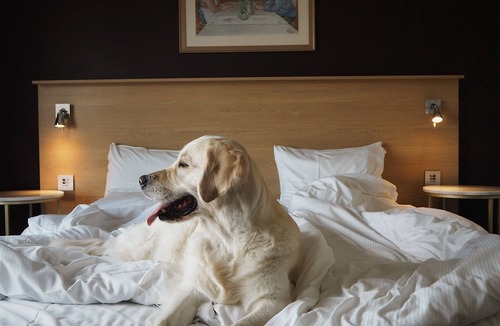 Norra Skara Hotel | Skara Konsthotell