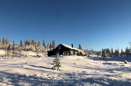 Al House | Skarvebo - cabin with amazing view