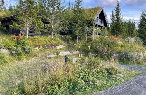 yer Ski Chalet | Ski and Bike-In and Out