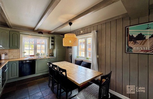 Trysil Apartment | Ski-in/out Trysil with 3 Bedrooms, Fireplace, Terrace, Garage and Sleeps 8