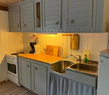 Flakstad Apartment | Skjellfjord cabin