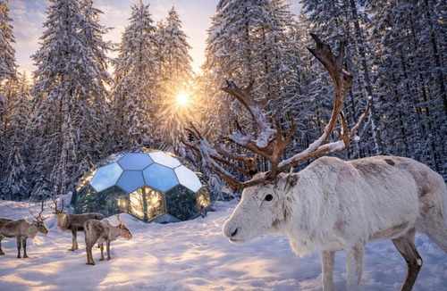 Kalix Cabin | SKOG Aurora Glass Igloos