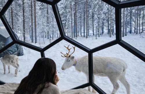 Kalix Cabin | SKOG Aurora Glass Igloos