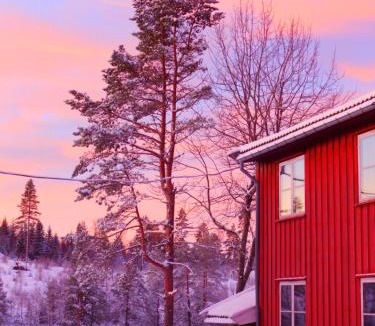 Siljan Municipality Hostel | Skogsro Forest Hostel