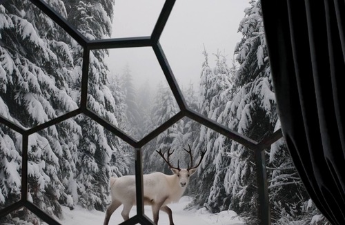 Kalix Municipality House | Sleep Under the Northern Lights - SKOG Aurora Igloo - Kalix