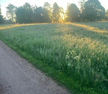 Mansarp House | Småland Farm Stay