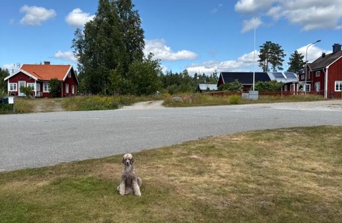 Nordanstig Municipality House | Small gem near the sea with a sea view