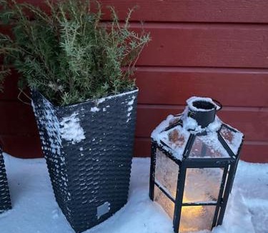 Bjornange Ski Chalet | Solbergs, attefallshus i Vik, Åre