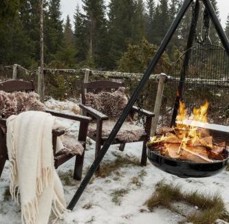 Gol Municipality House | Solglimt, mountain cabin in Golsfjellet with jacuzzi