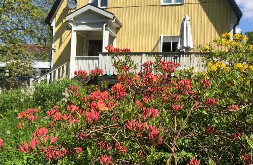 Alingsas Bed & Breakfast | Solhuset intill ån