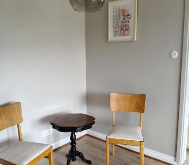 Jamsa Apartment | Spacious 4-room apartment,kitchen, sauna in the city center, 7 km to Himos