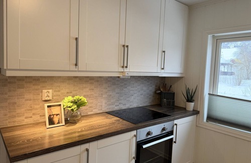 Gausdal Apartment | Spacious apartment in Follebu