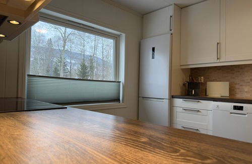Gausdal Apartment | Spacious apartment in Follebu