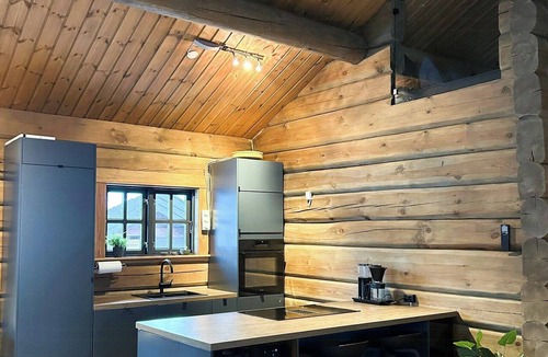 Nore og Uvdal House | Spacious log cabin near Hardangervidda