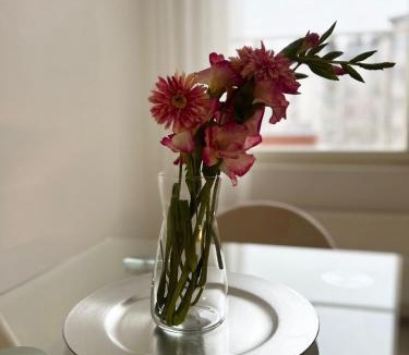 Tampere Apartment | Star of Annala - private sauna, free parking, AC and WiFi
