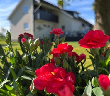 Ljungby Cabin | Stegemans Horse hotel and Country Lodge