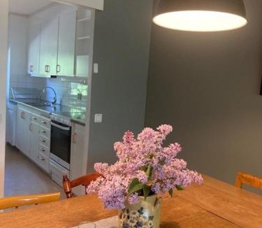 Norra Soderhamn Apartment | Stenbackens boende