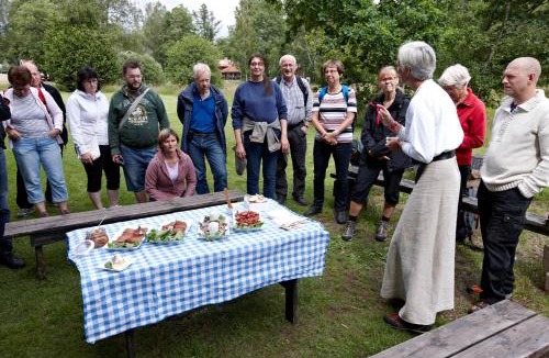 Linneryd Bed & Breakfast | STF Korrö Gårdshotell - B&B