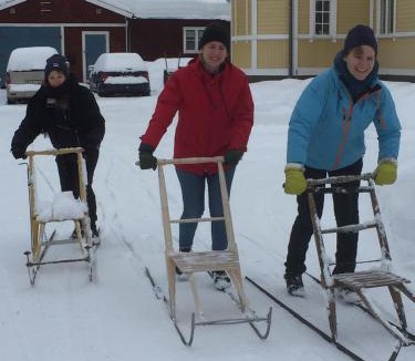 Alvdalen House | STF Tre Björnar B&B