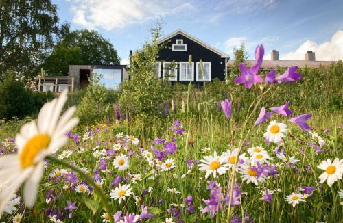 Amotsbruk Hotel | Stilleben Hotell