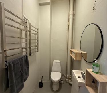 Oslo City Centre Apartment | Stor leilighet ved Slottsparken