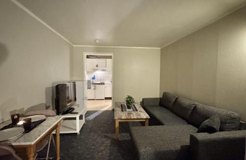 Gol Apartment | Studio apartment in center of Gol, towels and bed linen included