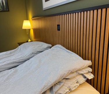Amot Apartment | Stue, soverom og bad