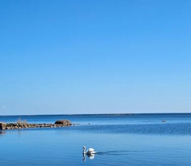 Bergkvara Other | Stuga 21 i Dalskärs Camping