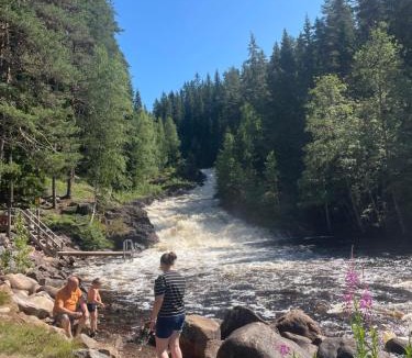 Syssleback House | Stuga i Branäs Byn