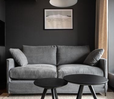 Are Apartment | Stunning Apartment in View Are Ski in - Vm8 Lift